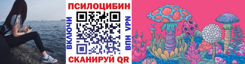 Галлюциногенные грибы Psilocybe  Ядрин 